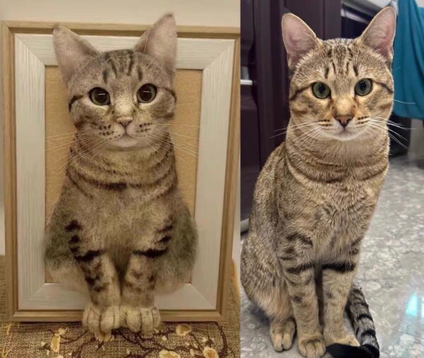 Plush pet clones - Image 2