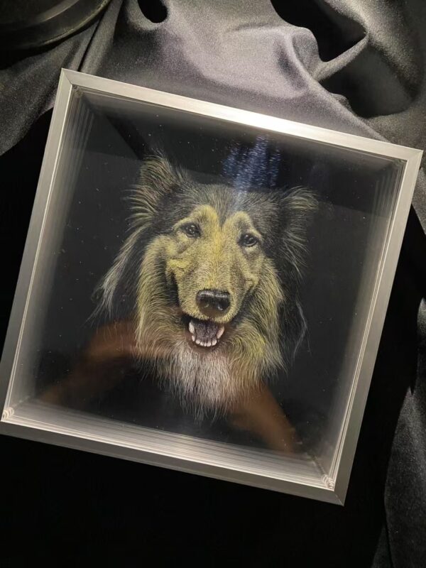 Line carved pet portrait - Image 4