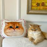 Custom Pet Memorial Pillow